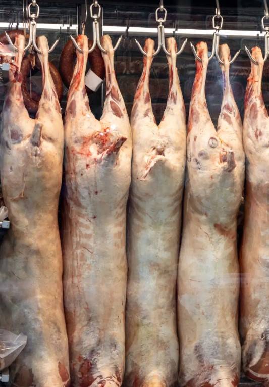 Commander un agneau halal entier à Marseille et alentours pour l'Aid al-kébir