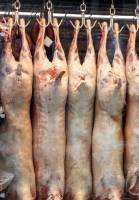 Nos prestations sur le secteur de à Marseille (13015)